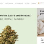 profesorcbd